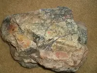 003.webp