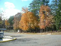 Picture 033.webp