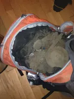 image-2569004333.webp