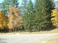 Picture 034.webp
