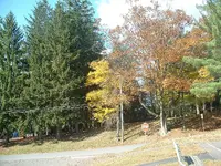 Picture 035.webp