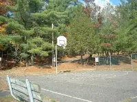 Picture 037.webp