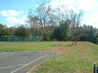 Picture 038.webp