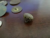 Metal Detecting 482.webp