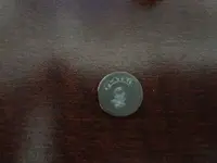 Metal Detecting 485.webp