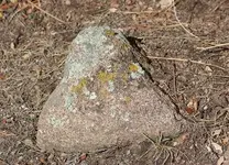 FlatTrailHeart.webp FlatTrailHeart.webp