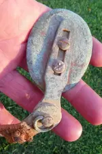 FIELD FINDS 021.webp