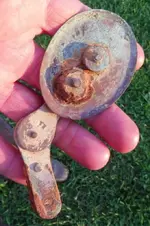 FIELD FINDS 022.webp
