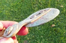 FIELD FINDS 025.webp