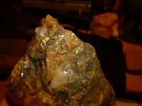 P1020223 - Copy.webp