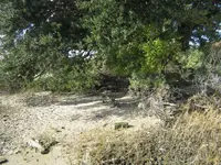 111212f.webp