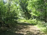 Cabin drive.webp