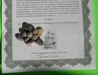 P1010020.webp