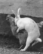 eastereggsaremade.webp