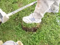 dig_6_110.webp