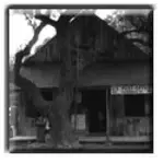 Luckenbach Dance Hall.webp