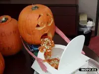 drunk-puking-pumpkin-768044.webp