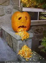 PukingPumpkin.webp