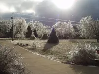 ice storm pic.webp