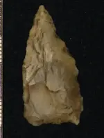 Copy of artifacts 1 378.webp