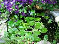 IMG_0018_resized.webp