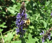 IMG_0049_small.webp