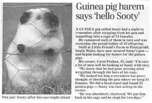 newspaper3.webp