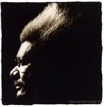 donking.webp