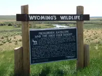 wildlife sign.webp