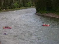 rafters on the snake.webp