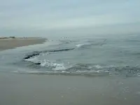 ocean drop 5 (2).webp
