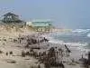 Nags Head.webp