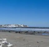 HPIM0781 (Large).webp