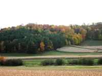 Fall colors2.webp