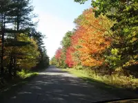 Fall colors3.webp