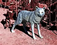 STILL LIFE-0003 wolf.webp STILL LIFE-0003 wolf.webp