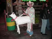 unknown.jpg sheep.webp unknown.jpg sheep.webp