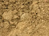 KG II -dirt.webp
