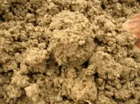 HalfCent -dirt.webp