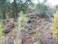 More Lost Padre Pic's 002.webp