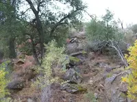 More Lost Padre Pic's 003.webp