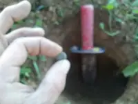 image-65255712.webp