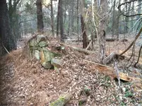 image-3287534241.webp