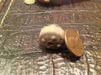 image-691712453.webp
