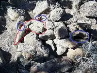 nevadaupdateoct 003-2.webp