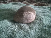 2012-10-14 15.01.46.webp