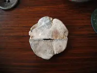 button,ww2button 257.webp