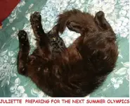 DSCF1930.webp