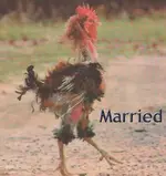 ATT00005.jpg men 2.webp