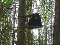 ATT00001.jpg big bear.webp ATT00001.jpg big bear.webp